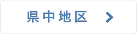 県中