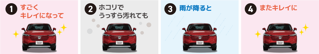 雨が降るとまたきれいに